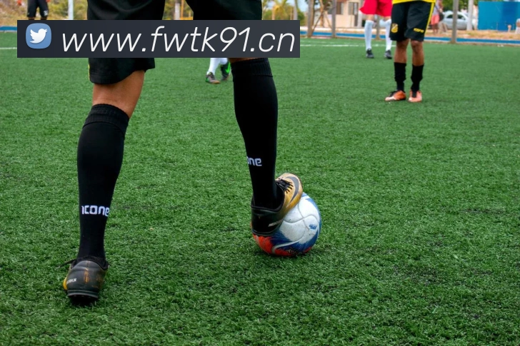 星空入口网页版官方版服务体系